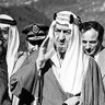 يحيى بن محمد's profile picture