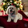 Lady of the house.'s profile picture