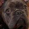 Duke76's profile picture