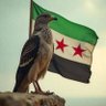 Abdo Hamwi's profile picture