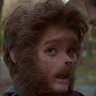 El bicho's profile picture