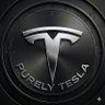 Purely Tesla's profile picture