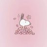 jae's profile picture