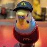 🌟よっちゃんイカ🌟(ママ)'s profile picture