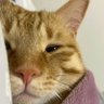 Lu's profile picture