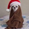 Leo's profile picture