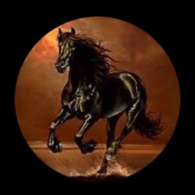 ii_e13's profile picture