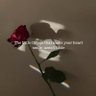 Фото профиля Bilal Q