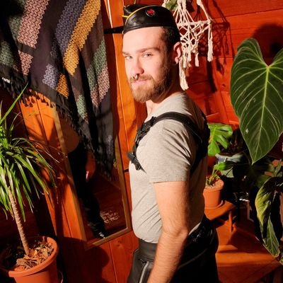 thatswitchtrip's profile picture