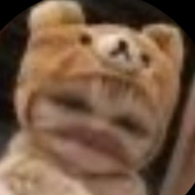 シ🧣's profile picture