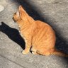 通行人さん 的头像