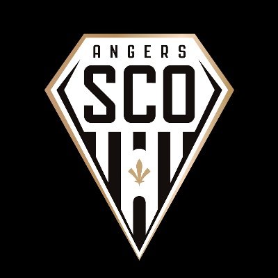 Angers SCO's profile picture