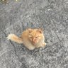 ジュドー・タイ's profile picture