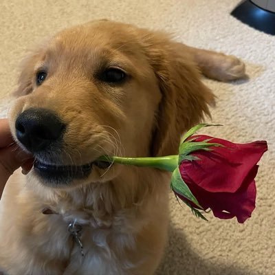 sxn1x4's profile picture