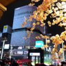 Unno 的头像