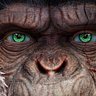 Abu 𝕩's profile picture