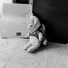 まーちん profil fotoğrafı