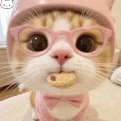 liyan816's profile picture