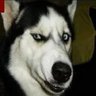 Profilbild von Garry Onesim