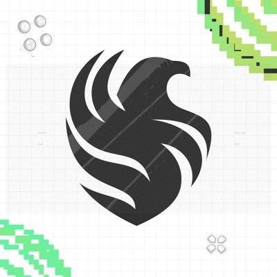 Team Falcons's profile picture