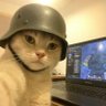 Profilbild von Blatt