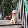 Kunwar profil fotoğrafı