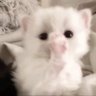 も's profile picture
