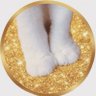 くろ💎🍯's profile picture