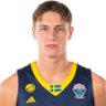 pellelarssonlover69 profil fotoğrafı