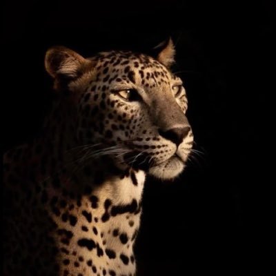 mahalifeStyle's profile picture