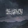 Фото профиля محمد ابو تراب