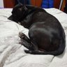 armando.bronca.jaleo's profile picture
