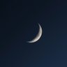 محمّد's profile picture