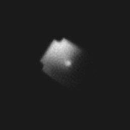 Short Gravity's profile picture