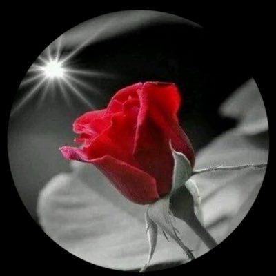 LadyEygpt's profile picture