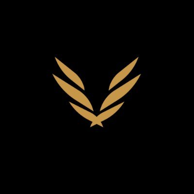 NLDRMedia's profile picture