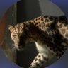 ` profil fotoğrafı