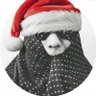 لنین ll's profile picture