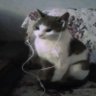 Profilbild von Rey 1720