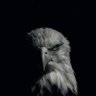 Profilbild von Daniels kolomonis 01