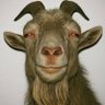 𓃶's profile picture