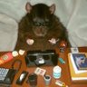 Elle G. Beaty's profile picture