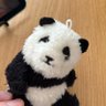 Toy*とい's profile picture