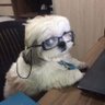 Profilbild von Hyeon