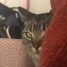 &Jani profil fotoğrafı