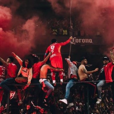 Análisis Toluca (Veguismo)'s profile picture