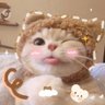 ivy vess's profile picture