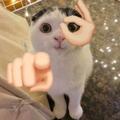 まるお竹島's profile picture