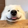 may april profil fotoğrafı