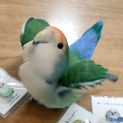 SaradaSaku's profile picture